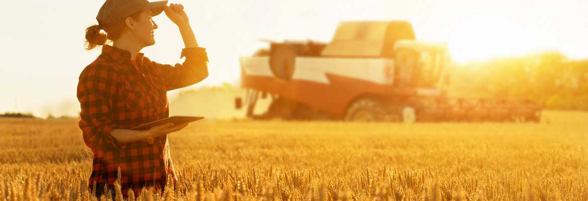 Наши поля и корма Наши поля и корма